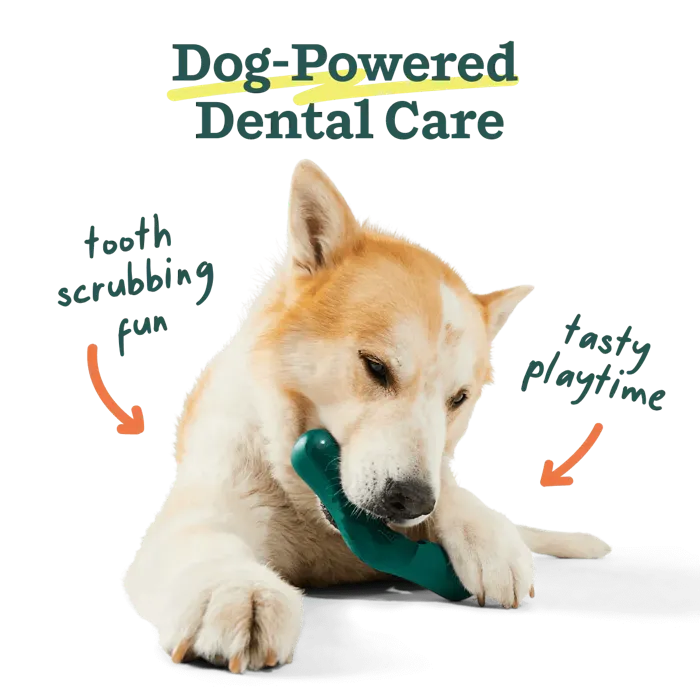 Woof Dog Toy Bite-N-Brush Large