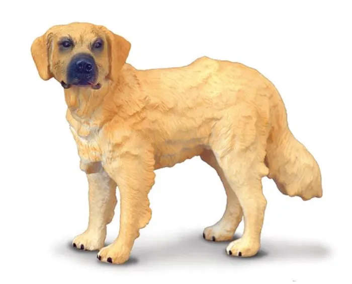 Collect-A Golden Retriever