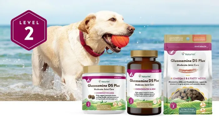 NV Glucosamine DS Plus Level 2 70 ct