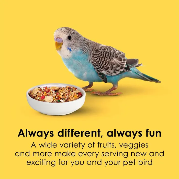 Fiesta Parakeet-4.5-lb