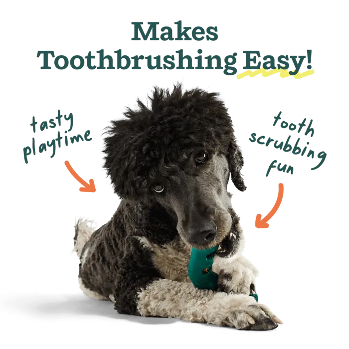Woof Dog Toy Bite N Brush Dental Refills 18-ct