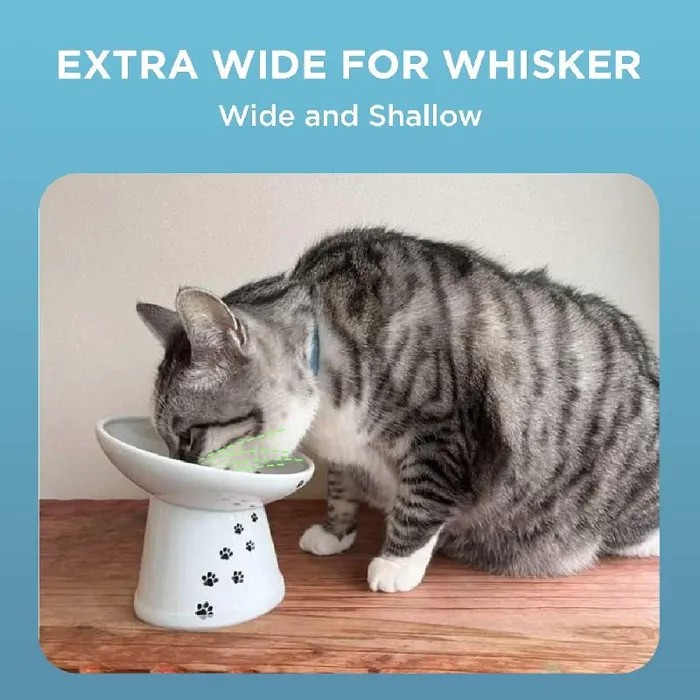 Necoichi Tilted Stress Free Raised Cat Food Bowl