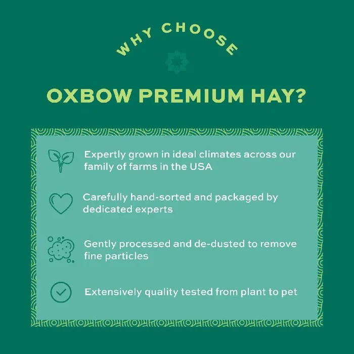 Oxbow Foraging Blend- Timothy & Teff Hay Blend - 40oz
