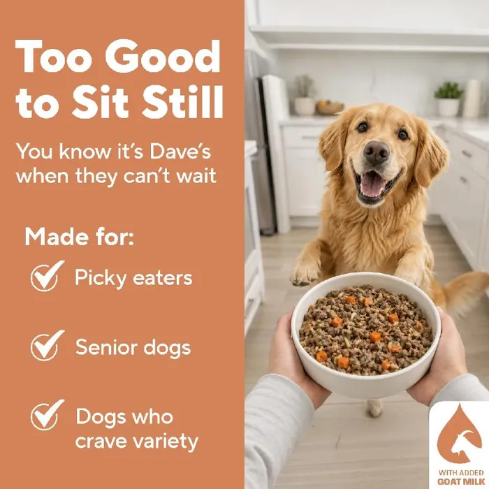 Dave's Homestyle Chicken & Brown Rice 9-oz