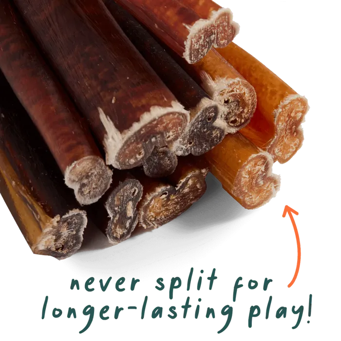 Woof BullySafe collagen chew sticks cross-section detail