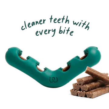 Woof Dog Toy Bite-N-Brush Large