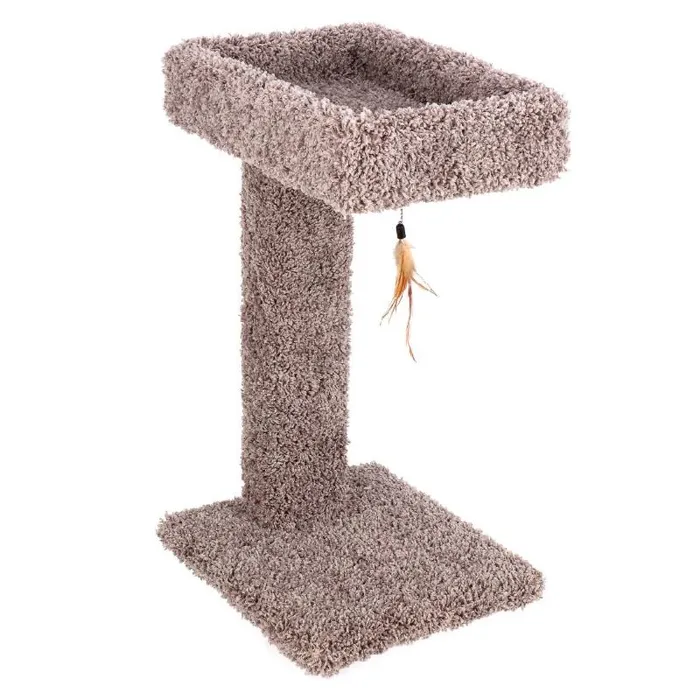 Ware - Kitty Cactus W/ Toy 24 in