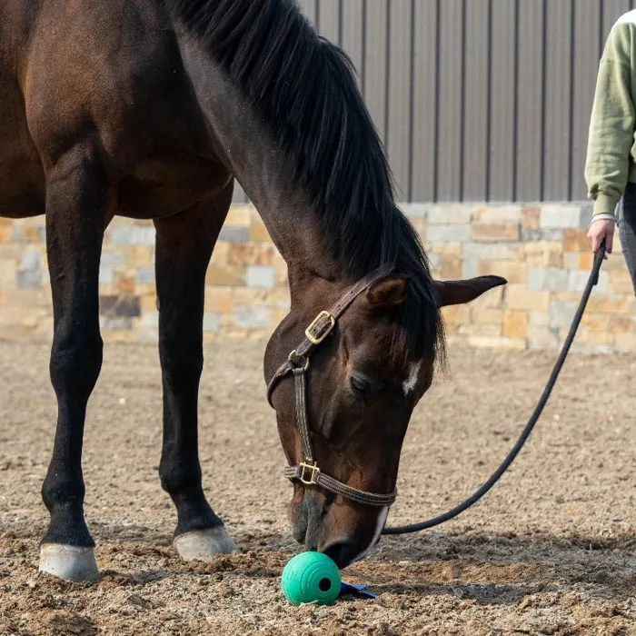 Petkore Koreflex Ball & Tail For Equine, Green