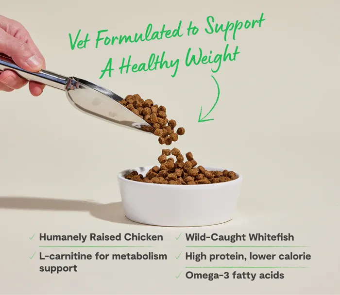 Open Farm Dog Dry Healthy Weight Chicken Whitefish 22-lb