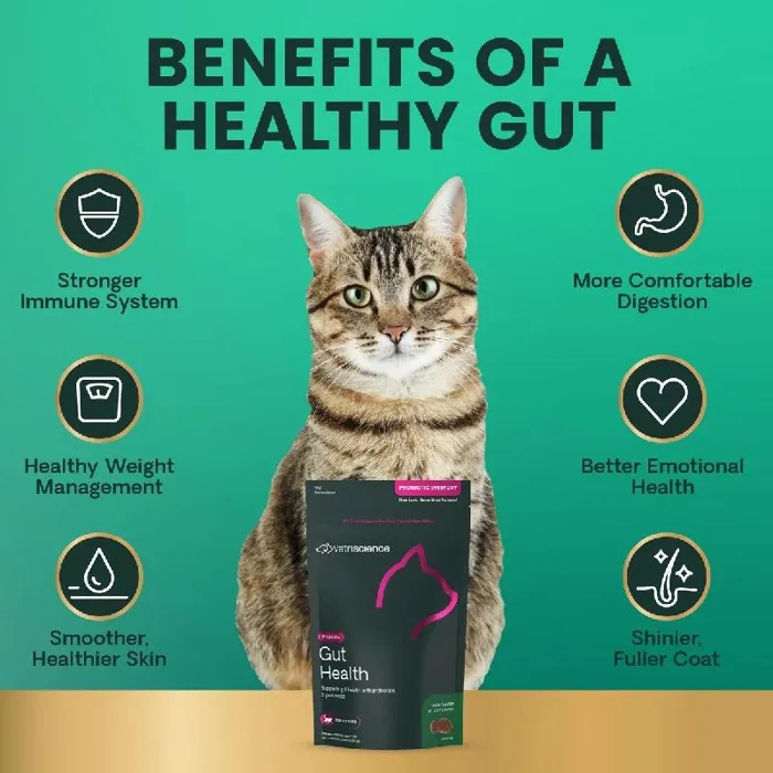 VETRISCIENCE CAT GUT HEALTH DUCK 60 CT