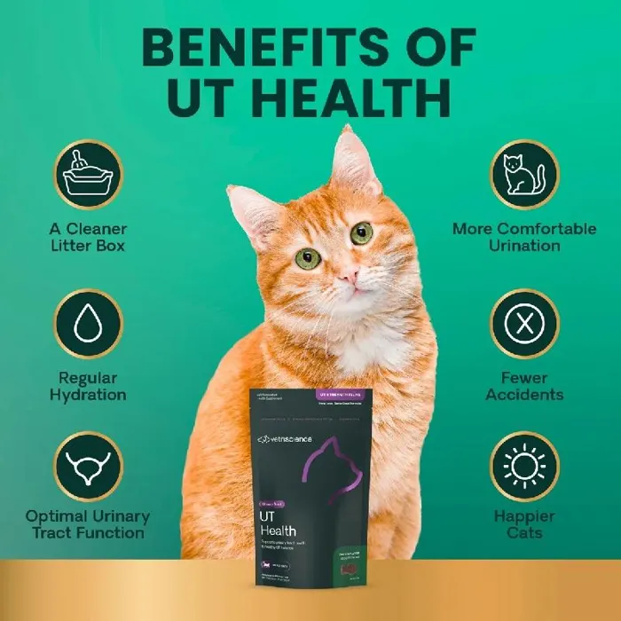 Vetriscience Cat UT Strength 60-ct